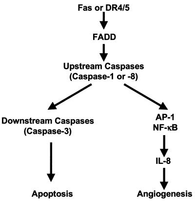 FIG. 6.