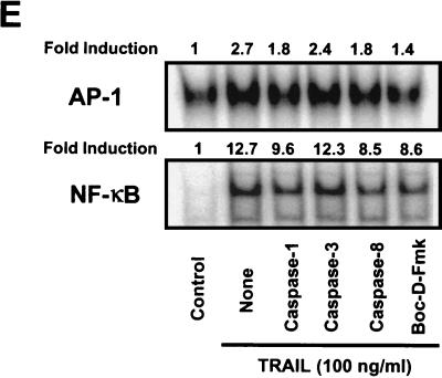 FIG. 5.