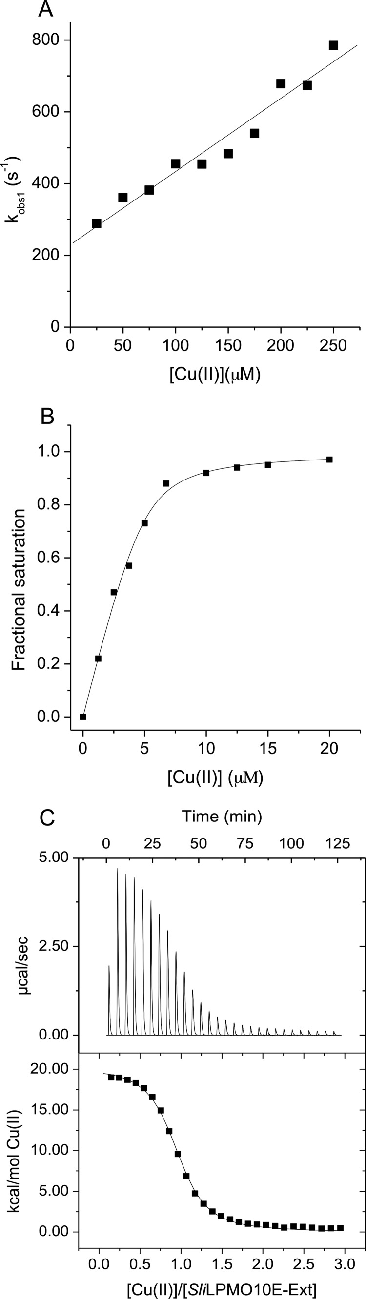 FIGURE 8.