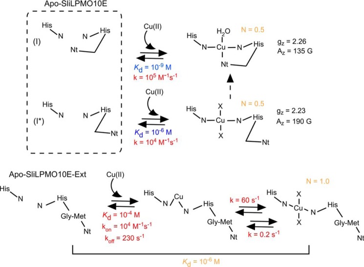 FIGURE 9.