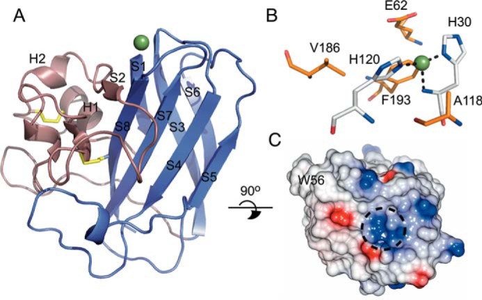 FIGURE 4.