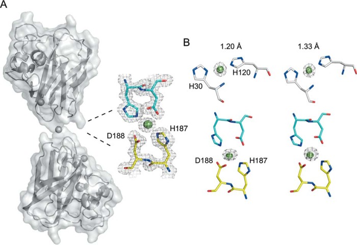 FIGURE 5.