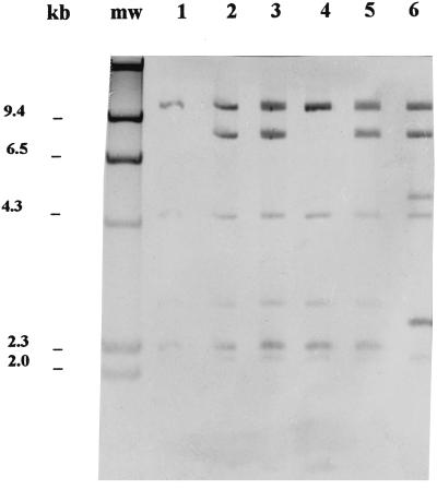 FIG. 3