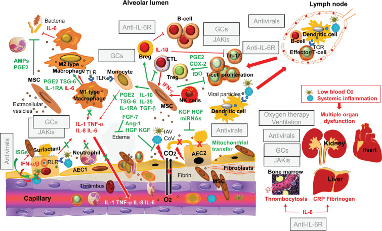 Fig. 2