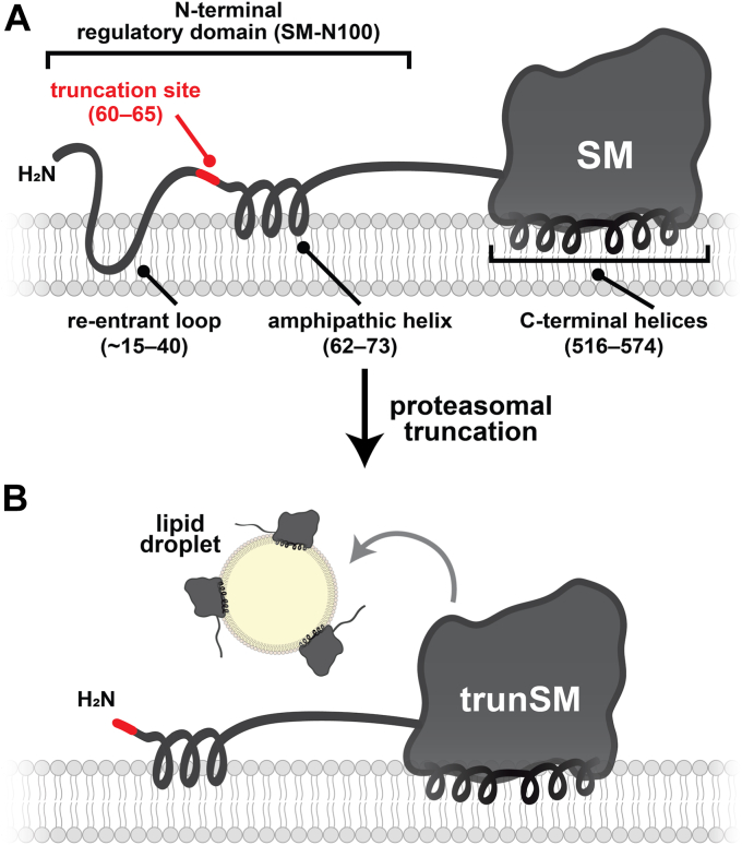 Figure 7