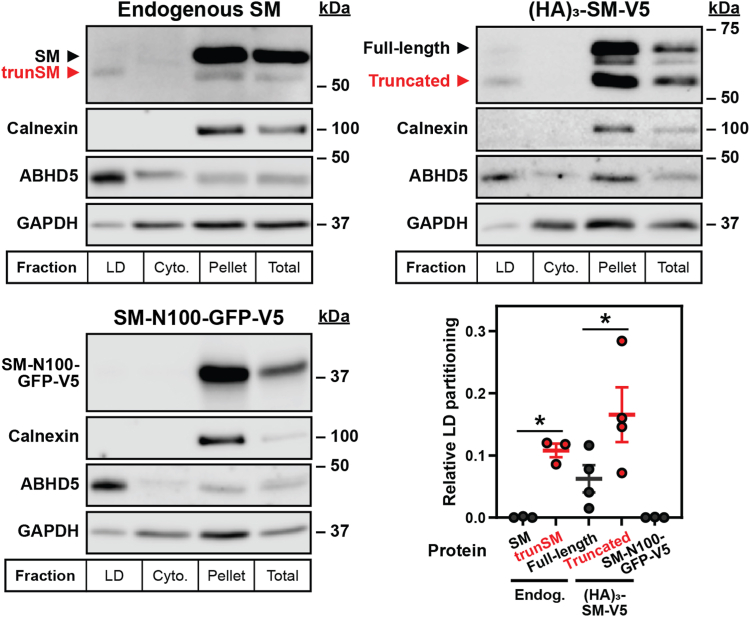 Figure 4