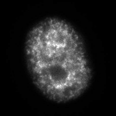 graphic file with name sciadv.adu8400-fx1.jpg