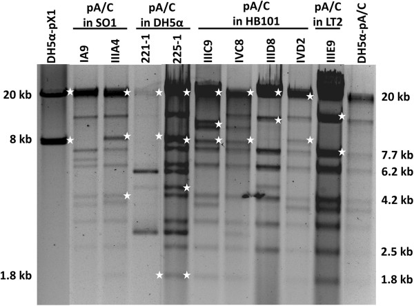 Figure 5