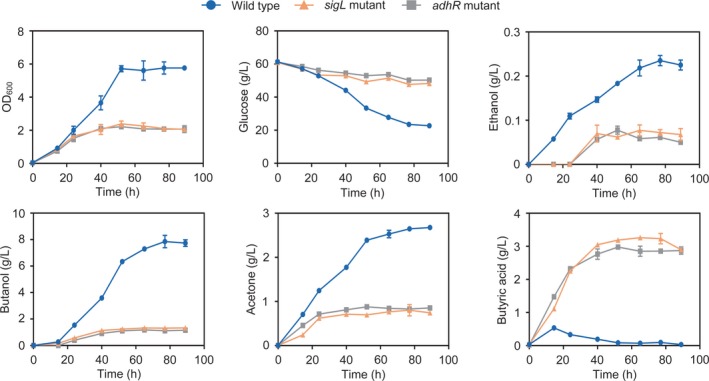 Figure 5