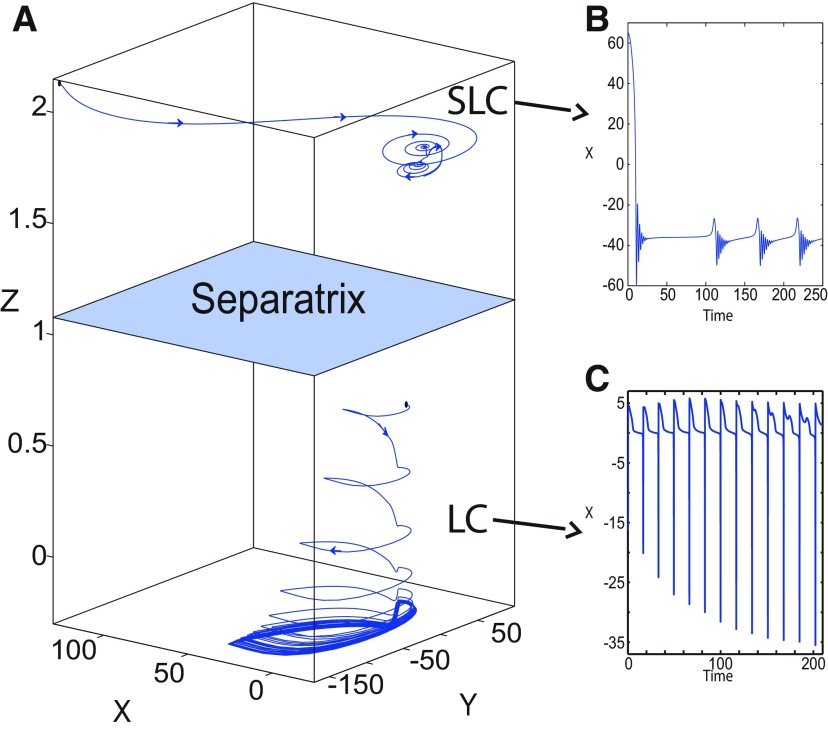 Figure 24.