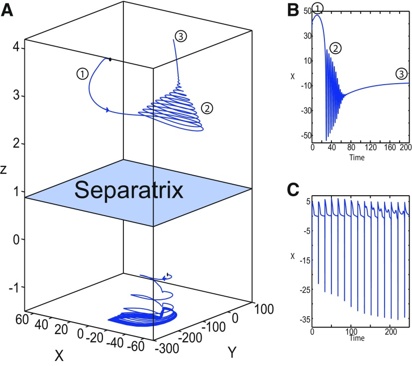 Figure 30.