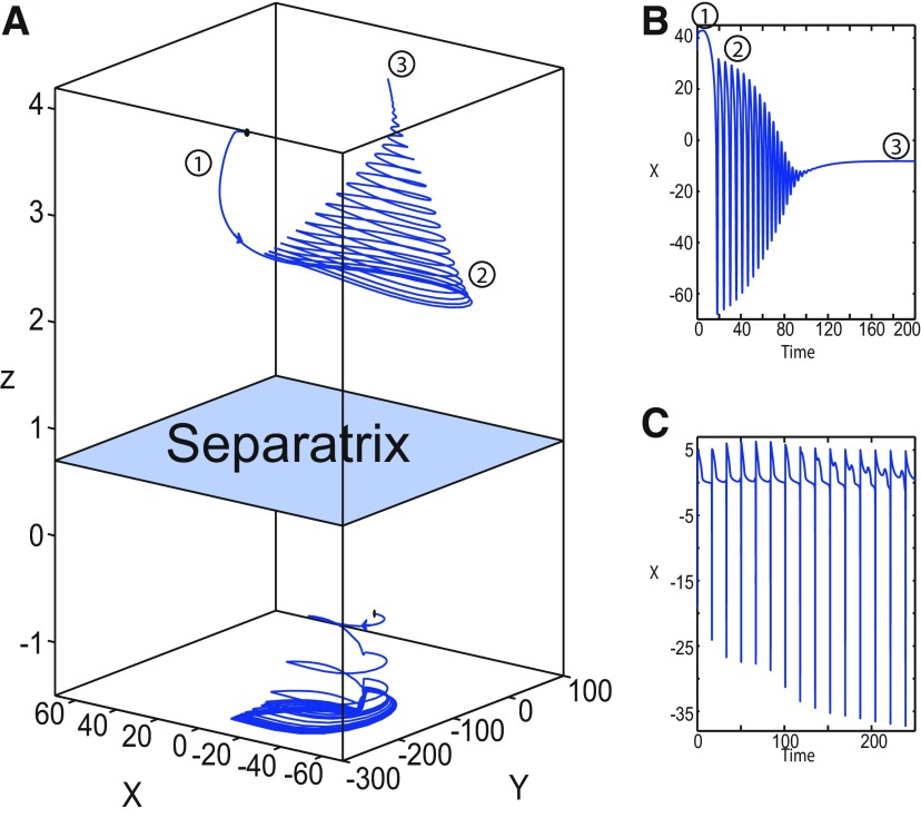 Figure 29.