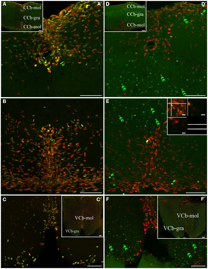 Figure 6