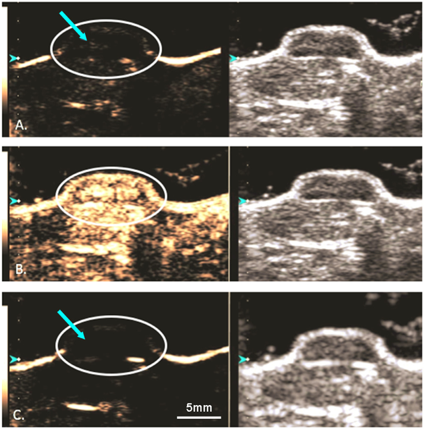 Fig. 7.