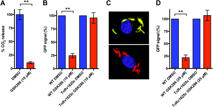 FIG 2