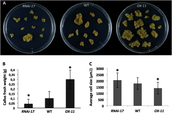 Figure 2.