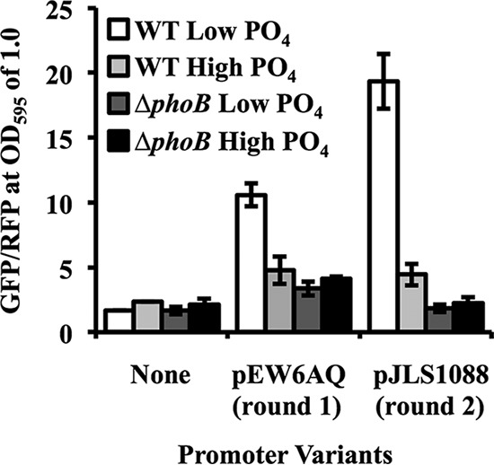 FIG 2