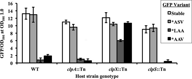 FIG 5