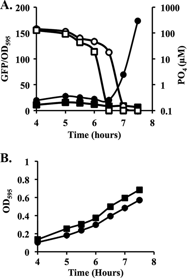 FIG 3