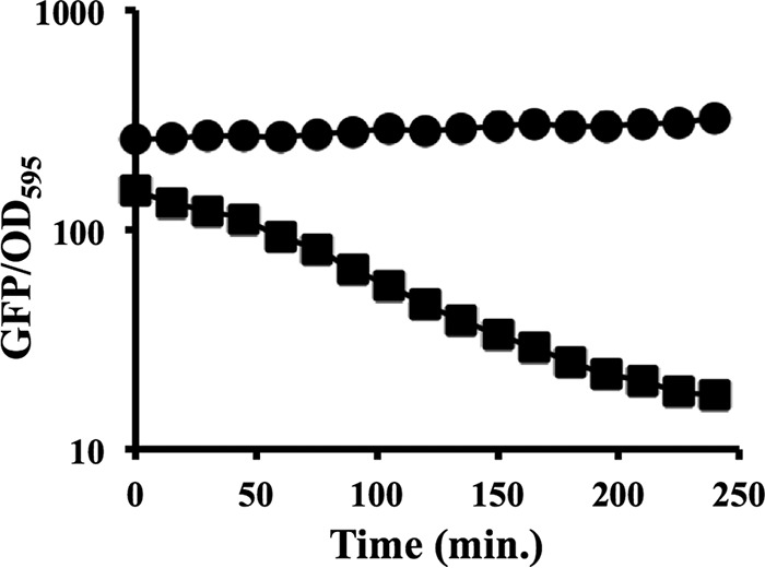 FIG 6