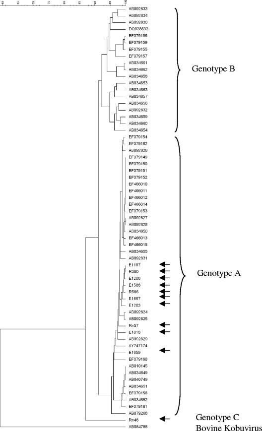 FIG. 2.