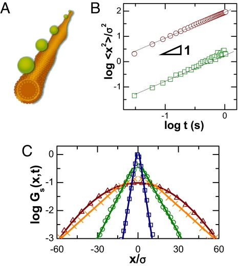 Fig. 1.