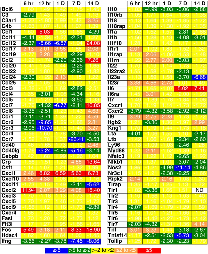 Figure 6