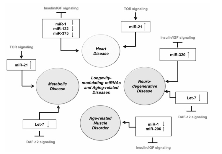 Fig. (3)