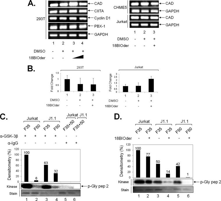 FIG 6