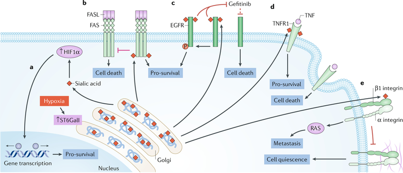 Fig. 5 |