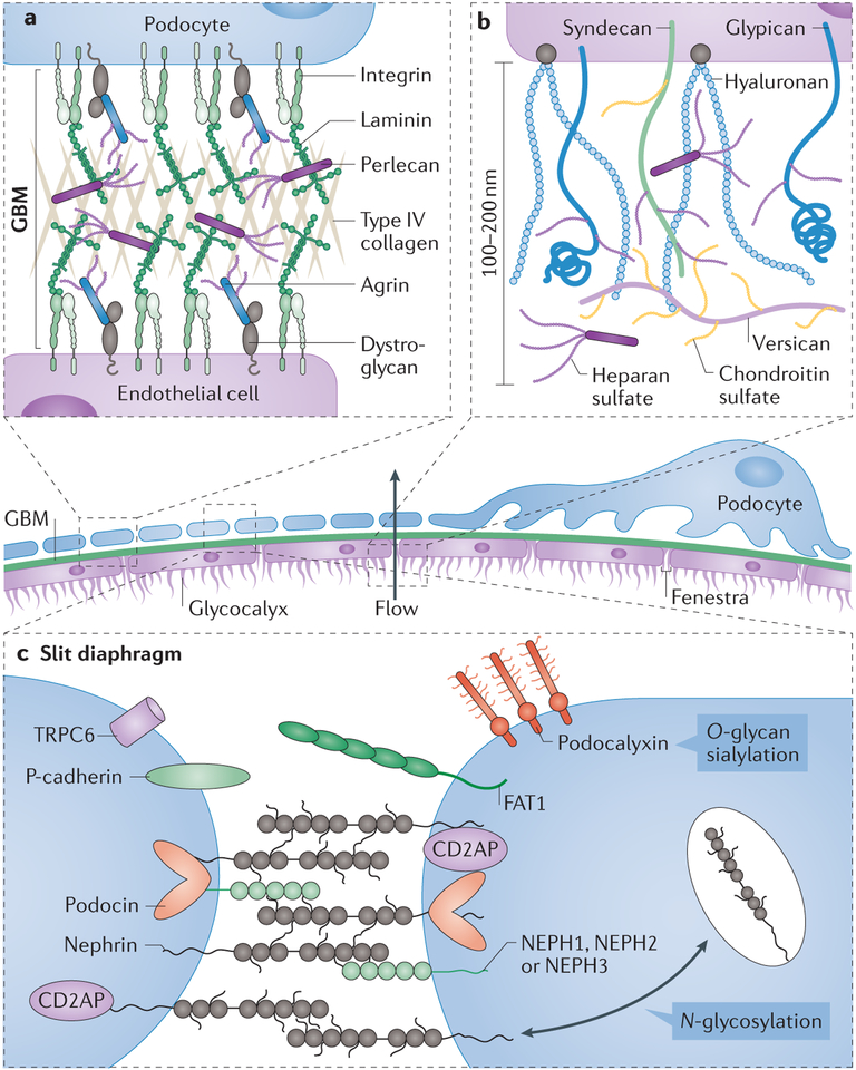 Fig. 7 |