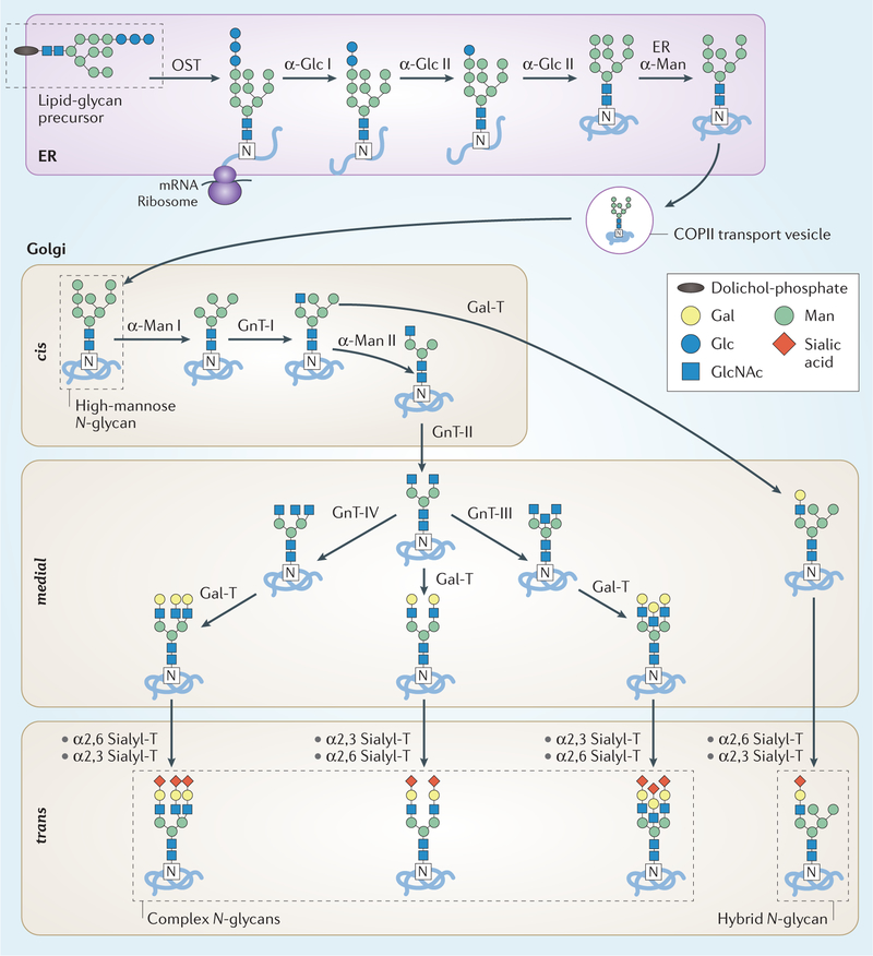 Fig. 2 |