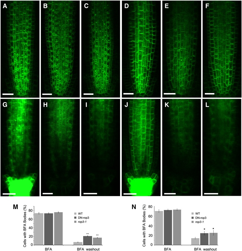 Figure 10.