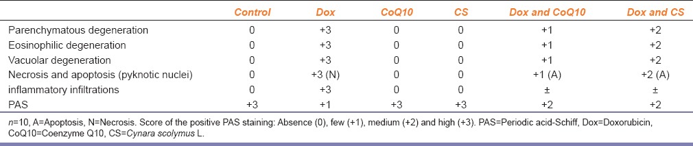 graphic file with name IJPharm-47-649-g004.jpg