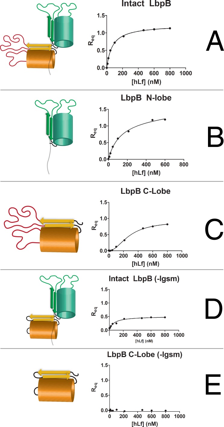 Fig 3