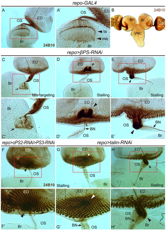 Fig. 4.