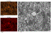 Figure 5: