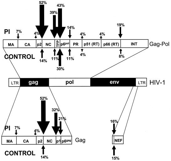 FIG. 1