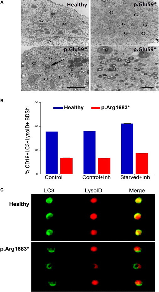 Figure 4