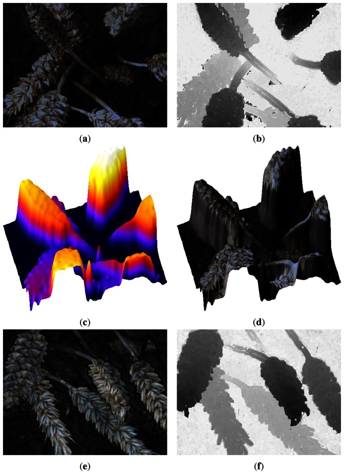 Figure 6.