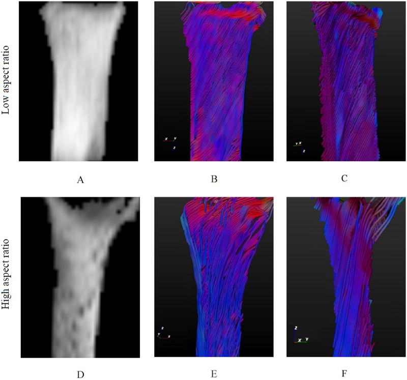 Fig 7