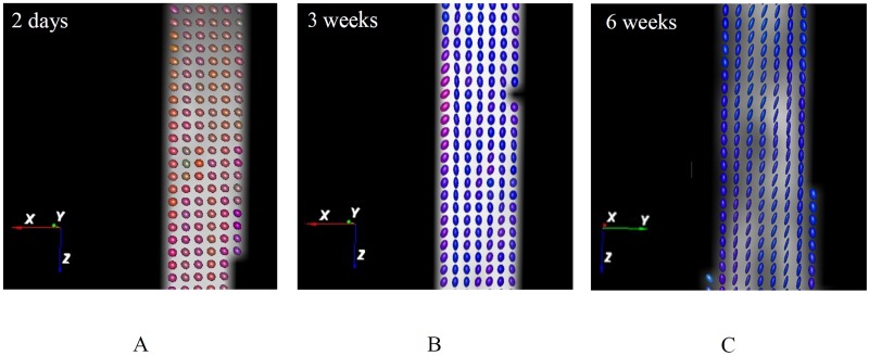 Fig 6