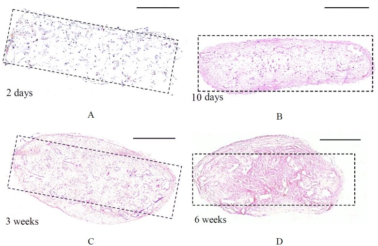 Fig 9