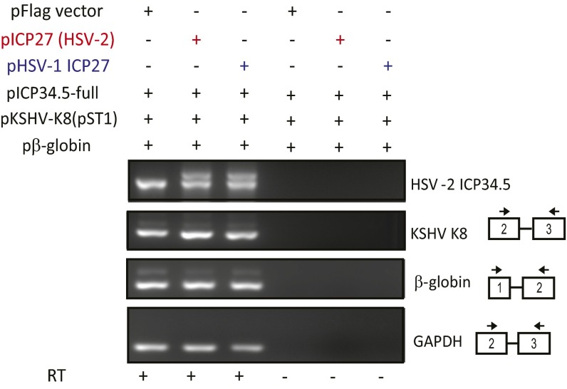 Fig. S7.