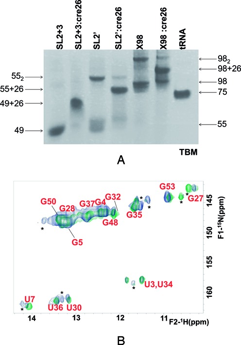 Figure 7.