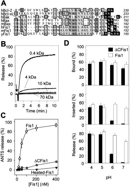 Figure 5.