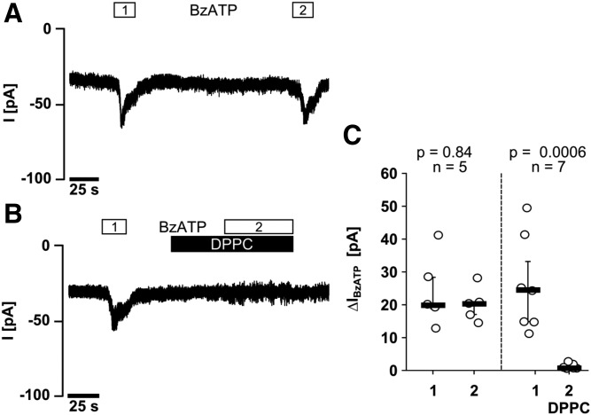 Fig. 6.