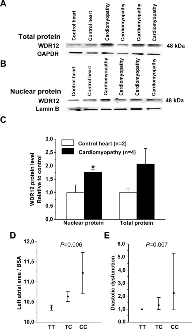 Fig 15