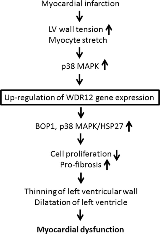 Fig 16