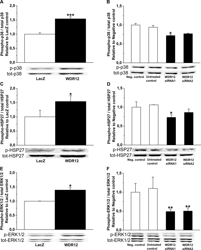 Fig 14